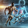 Nandrolone dans le cadre de cycles anabolisants visant à augmenter l'endurance